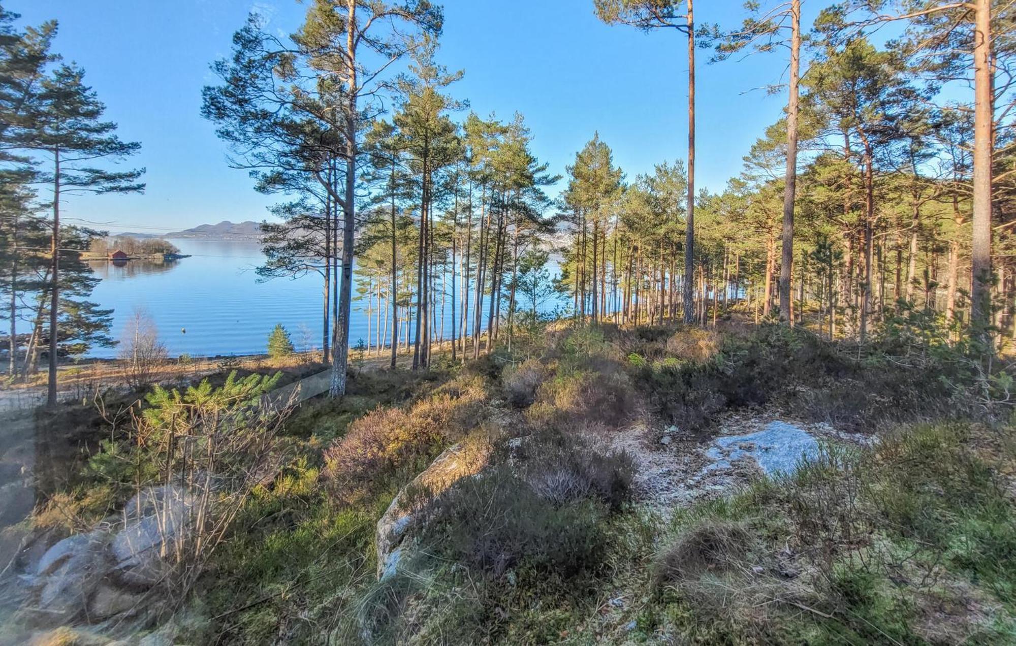 Gorgeous Home In Jorpeland With House Sea View Zewnętrze zdjęcie